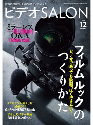 cover image of ビデオ SALON (サロン) 2018年 12月号